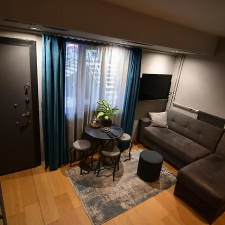 Konforunda Site Ici Guvenlikli Studyo Daire * Istanbul