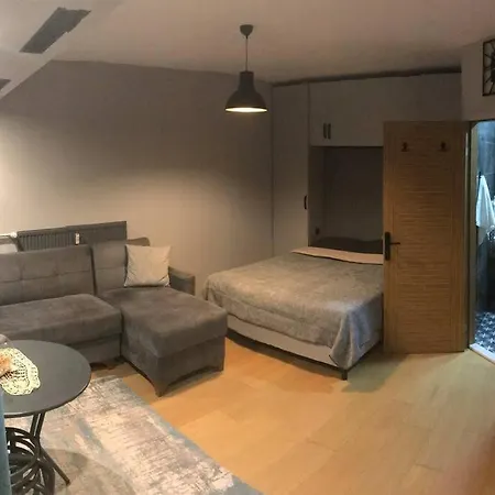 Konforunda Site Ici Guvenlikli Studyo Daire *